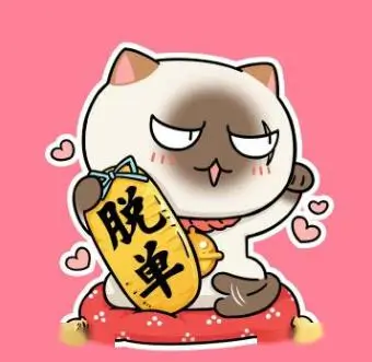 纸上星图动画导演访谈头像